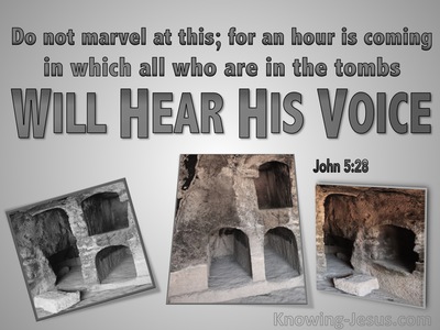 John 5:28 All In The Tombs Will Hear His Voice (gray)